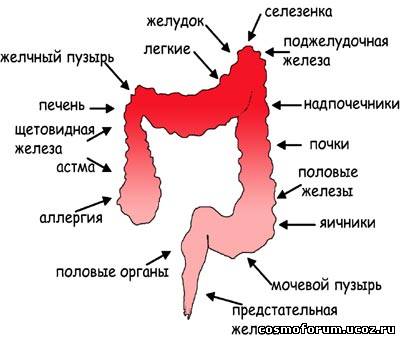 Смотреть фильмы паршивая овца